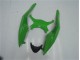 Abs Kit Completos Carenagem ZX6R 09-12 - Verde Preto Abs Kit Completos Carenagem ZX6R 09-12 - Verde Preto