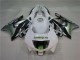 Carenagem CBR 600 F3 95-98 - Branco Verde Hannspree Carenagem CBR 600 F3 95-98 - Branco Verde Hannspree