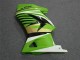 Carenagem EX250 08-12 - Verde Branco Preto Ninja Carenagem EX250 08-12 - Verde Branco Preto Ninja