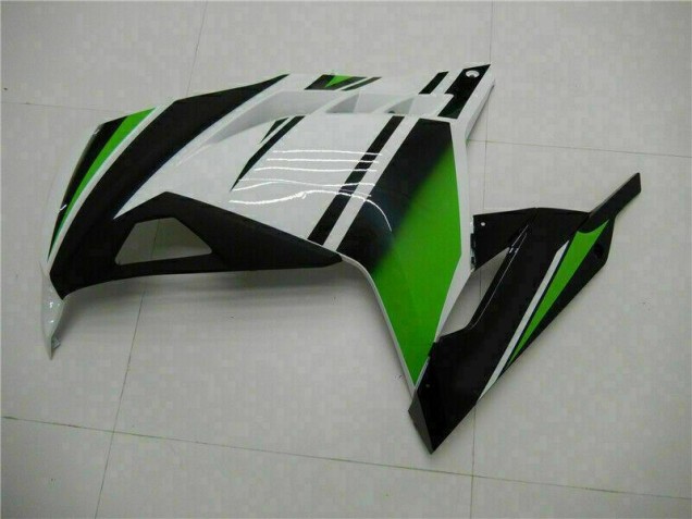 Carenagem EX300 13-16 - Verde Preto Prata Carenagem EX300 13-16 - Verde Preto Prata