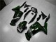 Carenagem EX650 06-08 - Verde Chama