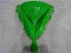 Carenagem EX650 06-08 - Verde Preto Carenagem EX650 06-08 - Verde Preto