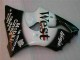 Carenagem ZX6R 03-04 - Preto West Ninja Carenagem ZX6R 03-04 - Preto West Ninja