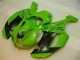 Carenagem ZX6R 07-08 - Verde Preto Dunlop Carenagem ZX6R 07-08 - Verde Preto Dunlop
