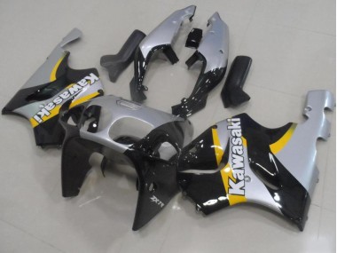 Carenagem ZX9R 00-01 - Prata & Preto