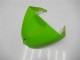 Kits Carenagem ZX6R 05-06 - Verde Kits Carenagem ZX6R 05-06 - Verde