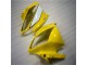 Plástico R6 06-07 - Amarelo Branco Preto Plástico R6 06-07 - Amarelo Branco Preto