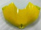 Plásticos R6 06-07 - Amarelo Branco Preto